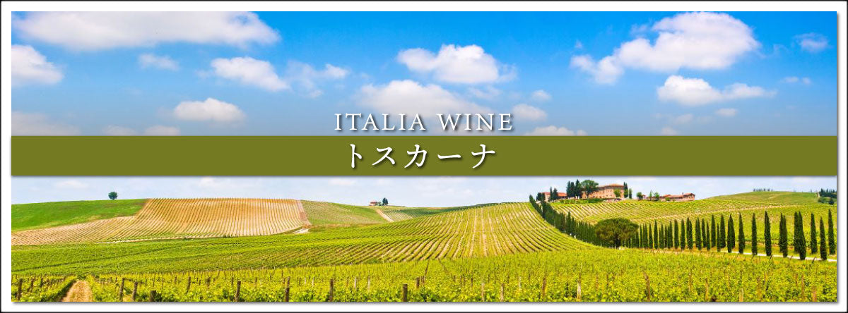 トスカーナのワイン | THE CELLAR online store｜ワイン通販