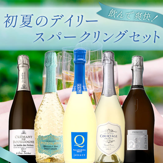 飲んで爽快！初夏のデイリースパークリング5本セット
