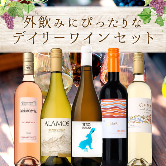 外飲みにぴったりなデイリーワイン5本セット！