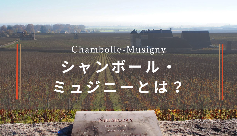 空瓶 Vogue Musigny,ボンヌマール、シャンボールなど色々６本セット 空瓶 Vogue Musigny,ボンヌマール、シャンボールなど色々6本