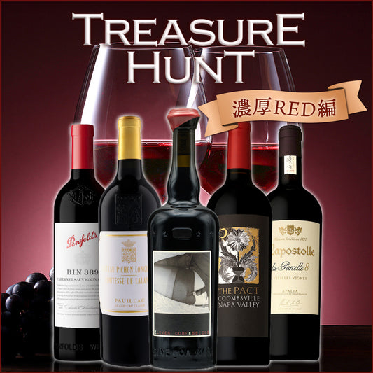 【ワインくじ】トレジャーハント：濃厚RED編