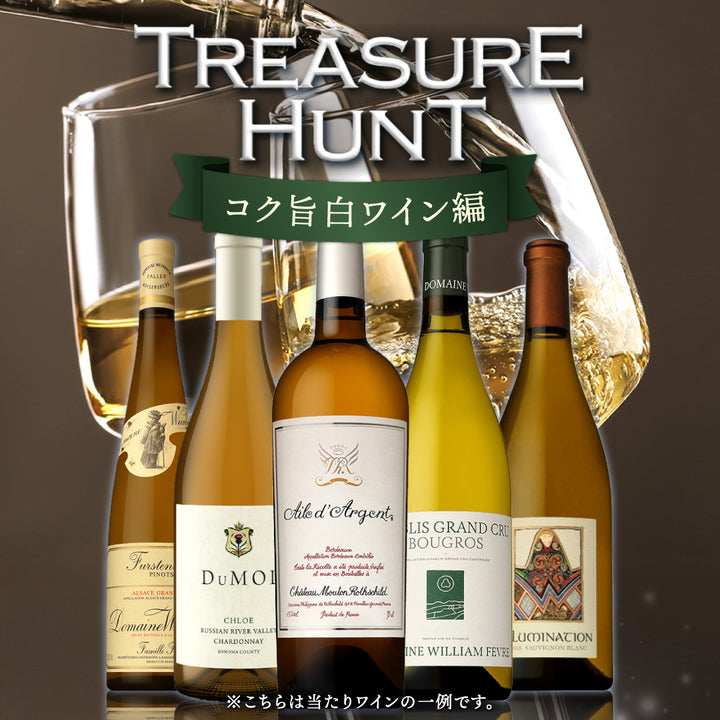 トレジャーハント（ワインくじ） | THE CELLAR online store｜ワイン通販